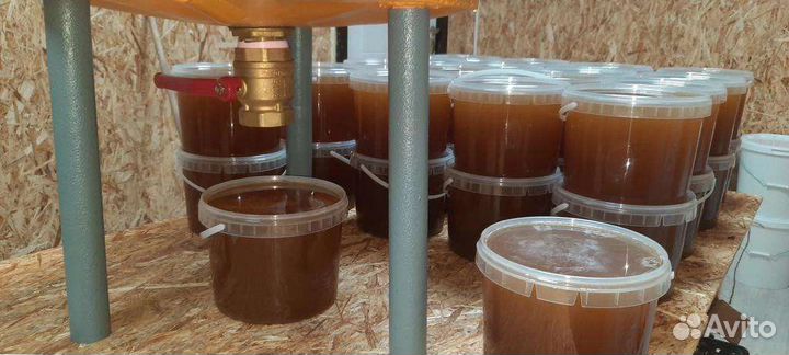 Мед липовый