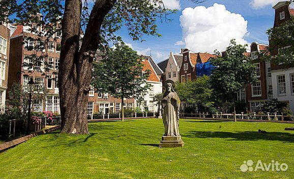 Семена газонной травы