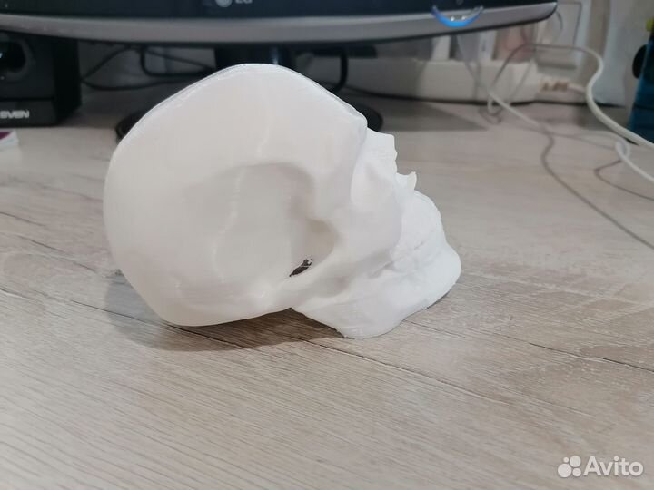 Йорик на тсу