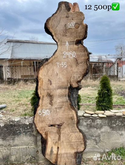 Слэбы и заготовки из азиатского капового карагача