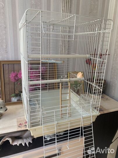 Клетка для попугая