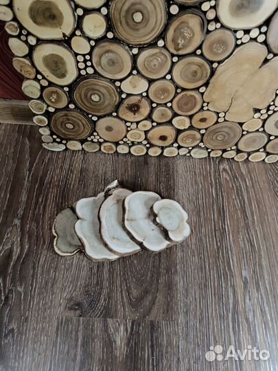 Набор спилов можжевельника для декора и творчества