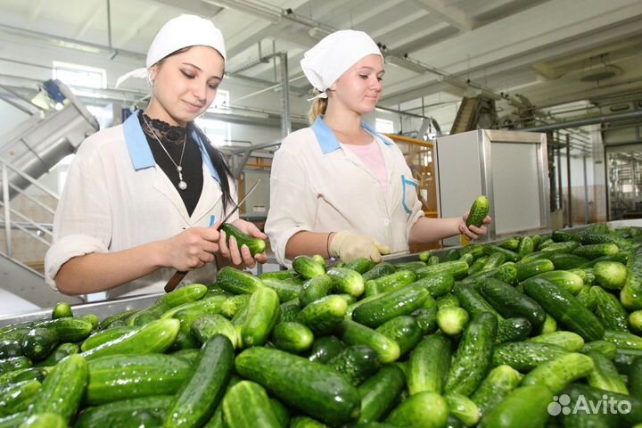 Вахта от 4000 смена. Сортировщик Еженедельная З/П