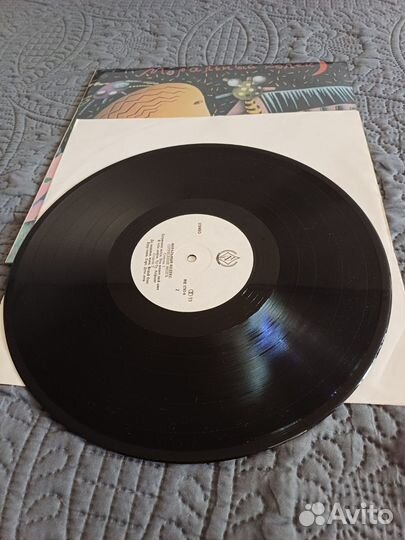 Пластинка. Моральный Кодекс 