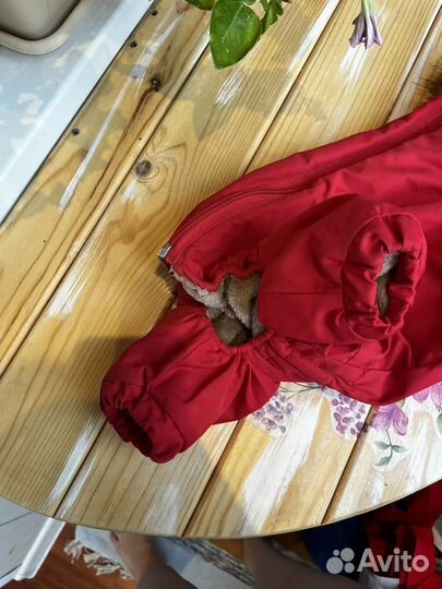 Комбинезон для щенка французского бульдога