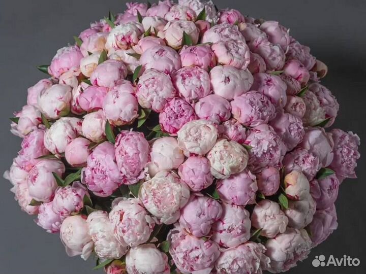 Букет из пионов живые цветы