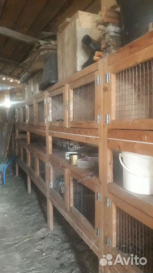 Клетки для кроликов 2х этажные (с маточниками)