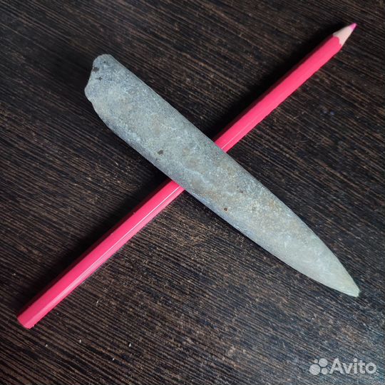 Окаменелости