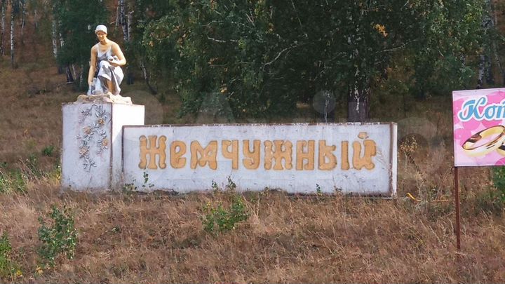 Участок 13,9 сот. (СНТ, ДНП)