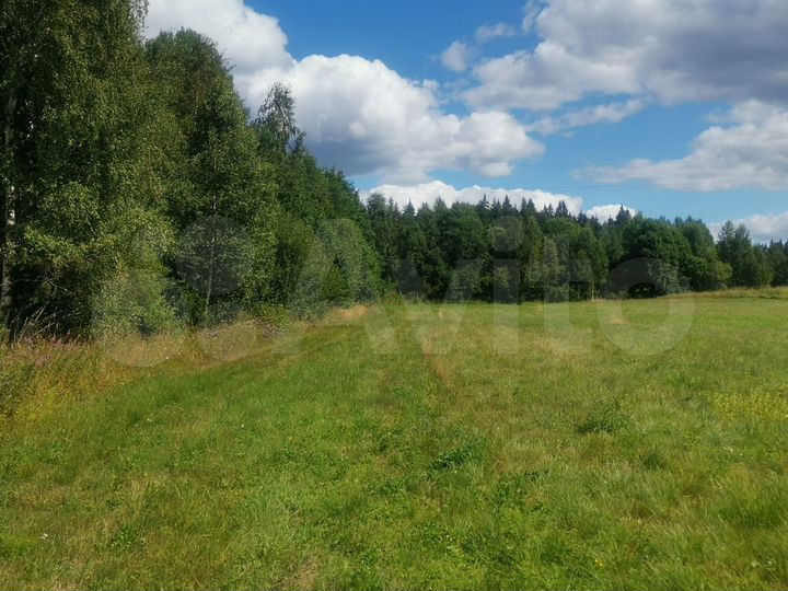 Участок 20 сот. (СНТ, ДНП)