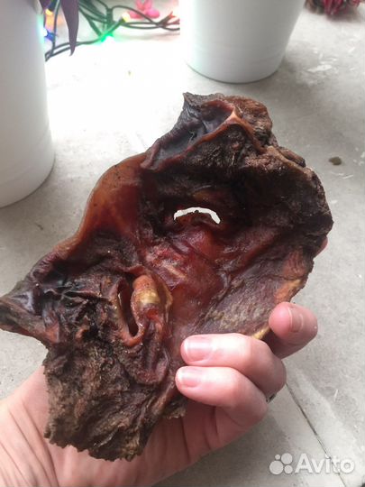 Игрушки погрызушки для собак