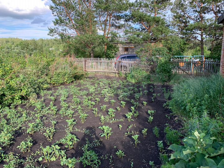 Дача 36 м² на участке 6 сот.