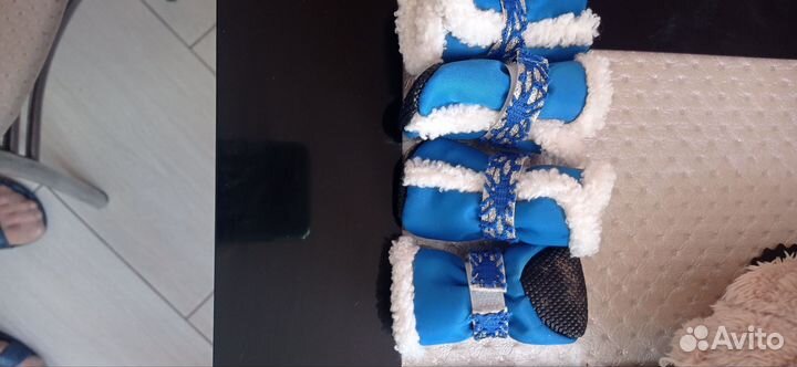 Одежда для маленьких собак,Чихуа,Той, Йорк