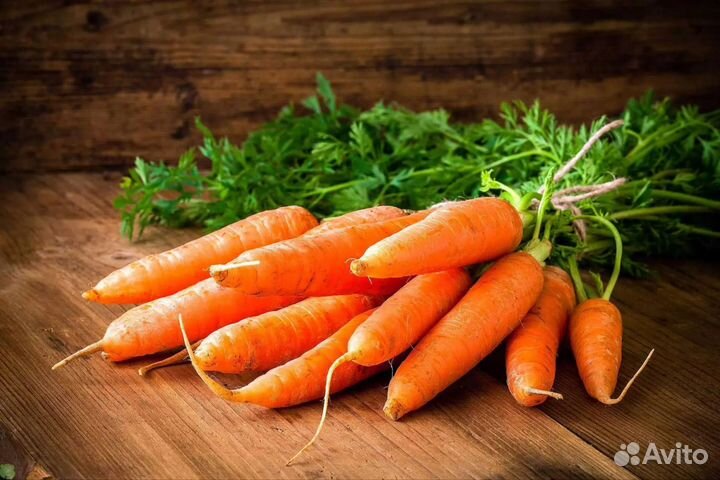 Морковь