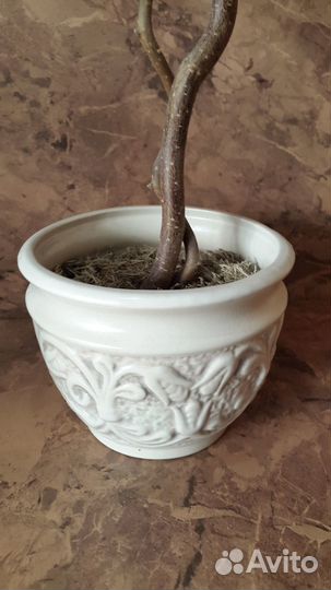 Топиарий ручная работа