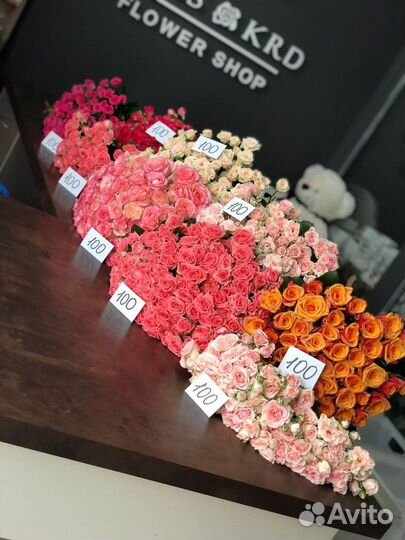 Кустовая роза Доставка Роза кустовая