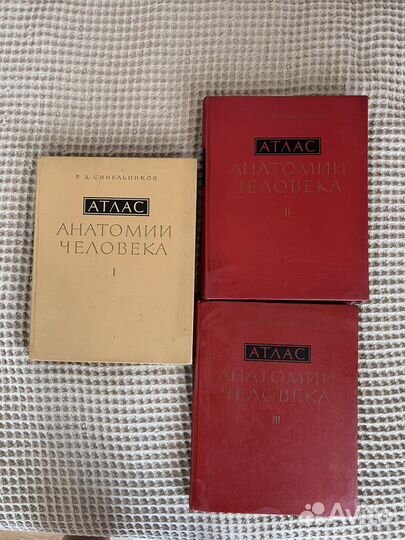 Атлас анатомии человека. Синельников