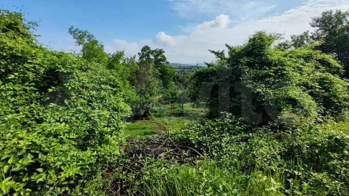 Участок 6,5 сот. (ИЖС)