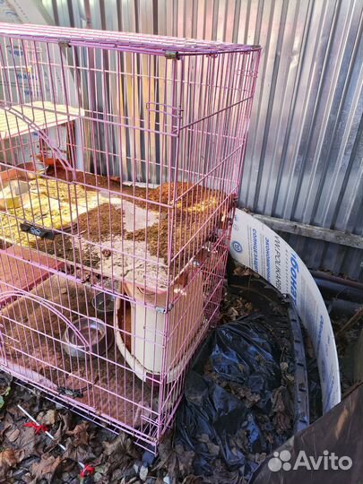 Клетка для кошек midwest cat playpens