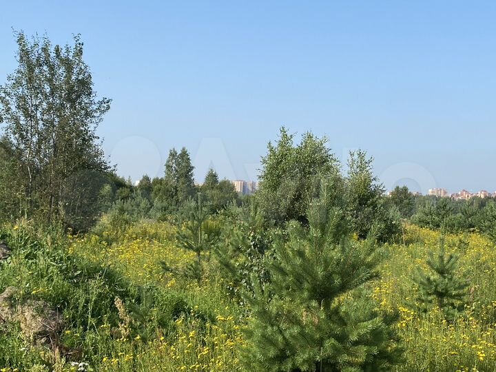 Участок 8 сот. (ИЖС)