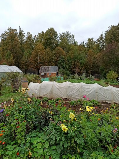 Дача 50 м² на участке 20 сот.