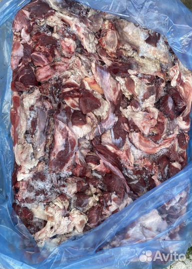 Мясо обрезь говядина для собак