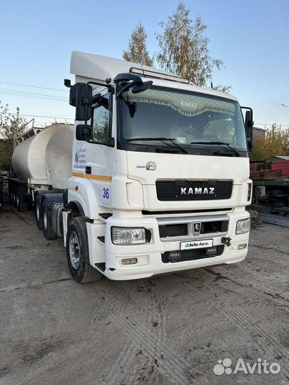 КАМАЗ 65206-Т5, 2018