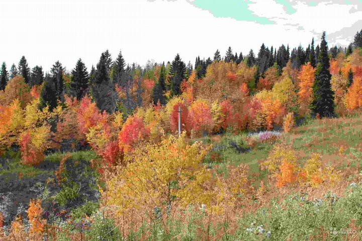 Участок 10 сот. (СНТ, ДНП)