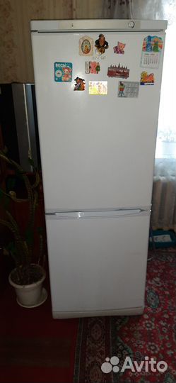 Холодильник indesit не работает компрессор