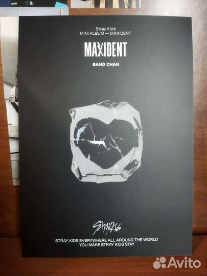 Stray kids maxident