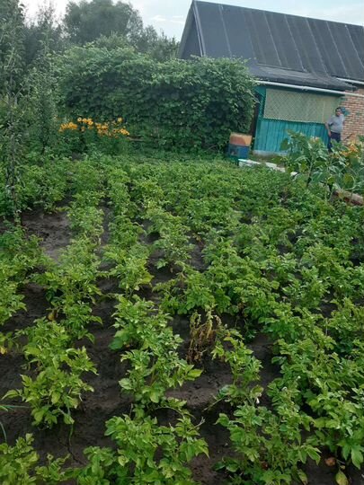 Дача 26,4 м² на участке 5,5 сот.