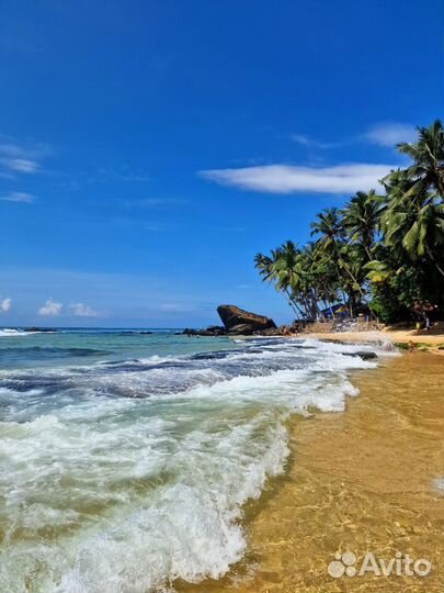 Туры / Горящие туры /Автобусные туры