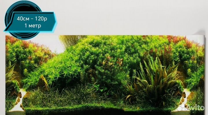 Задний фон для аквариума