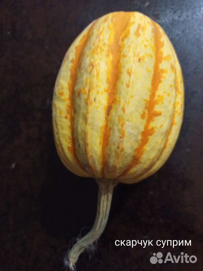 Семена тыквы 