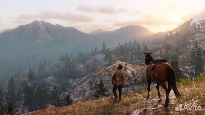 Red Dead Redemption 2 (PS4/PS5) Якутск