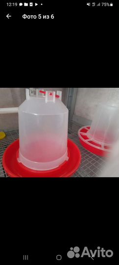 Брудер для цыплят, утят, гусят