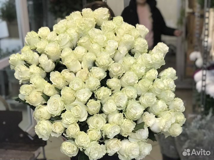 Розы Эквадор Букеты 101роза,51 роза, 25 роз