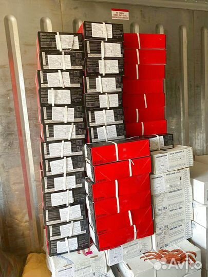 Креветка Северная