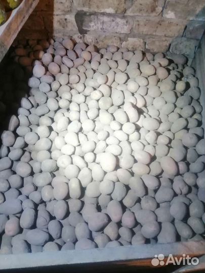 Продукты питания оптом