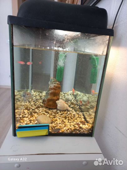 Аквариум 60л с рыбками