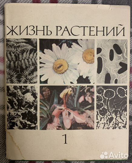 Книга растения