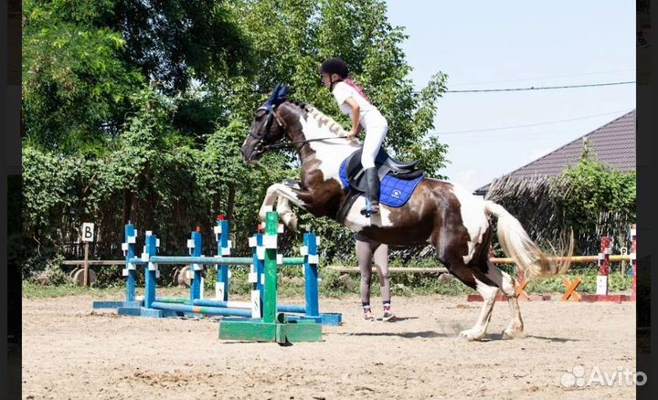 Прогулки, обучение верховой езде, иппотерапия