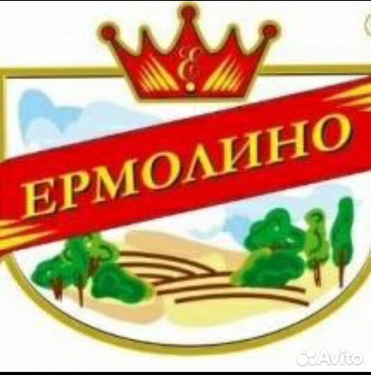 Продавец кассир продукты