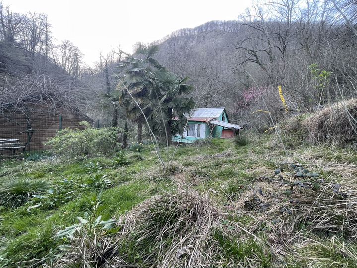 Участок 7,5 сот. (СНТ, ДНП)