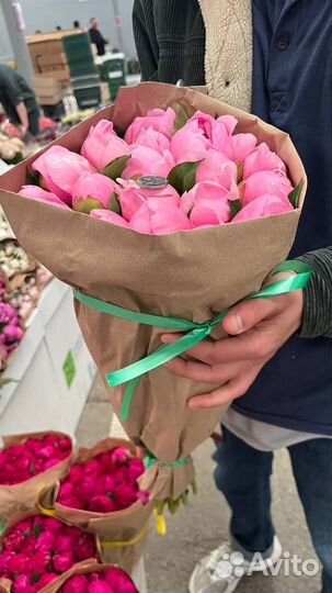 Живые цветы оптом