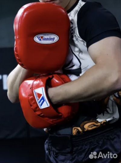 Лапы для единоборств