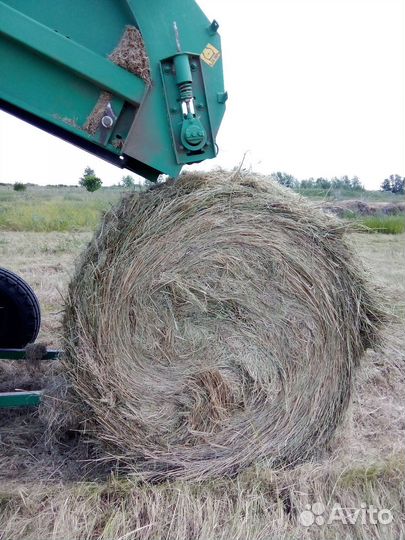 Сено в рулонах 2024