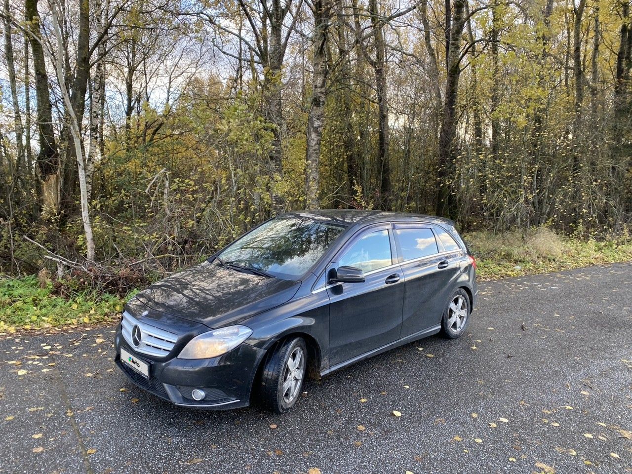 Mercedes-Benz B-класс: фото владельца