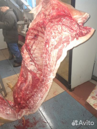 Мясо свинина домашняя