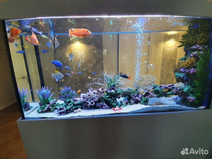 Обслуживание аквариума